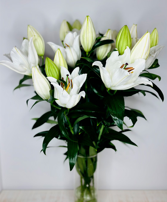 Ramo de Flores Blancas en Tielmes de Tajuña