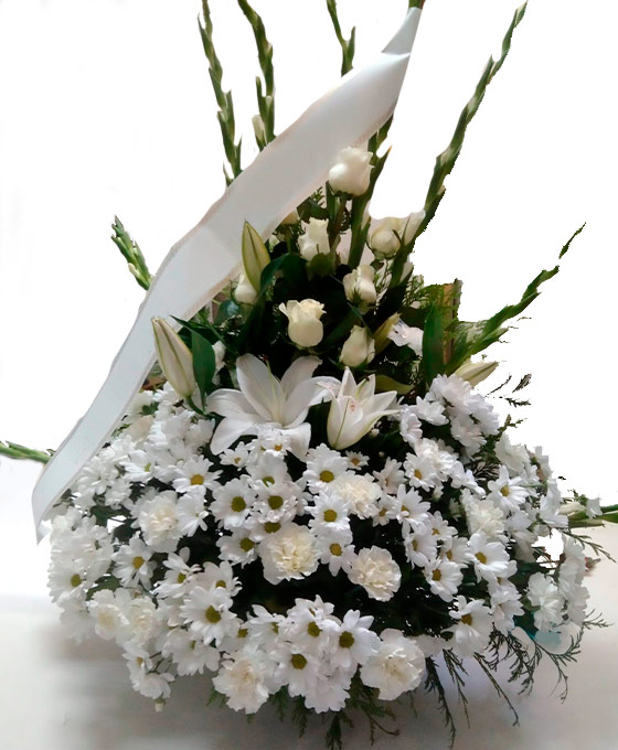 Comprar Centros Funerarios Espliego