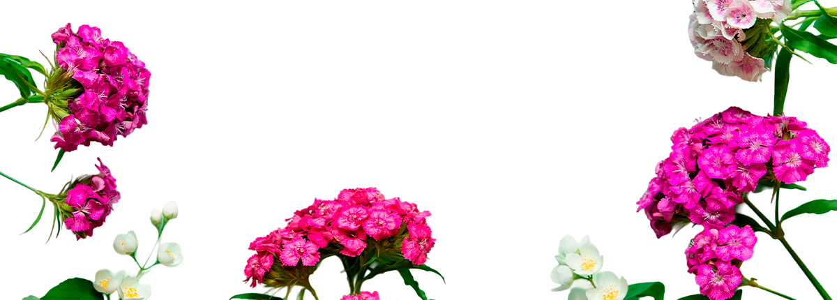 Floristería Profesional en Tielmes de Tajuña