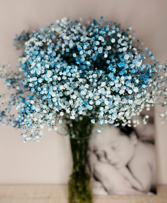 Arreglo Floral de Paniculata Azul en Tielmes de Tajuña