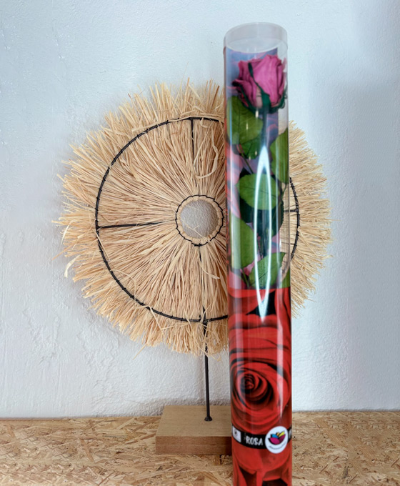 Rosa Morada Preservada para Regalar en Tielmes de Tajuña