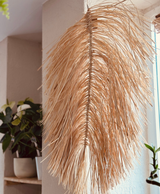 Palma Xl Decoración