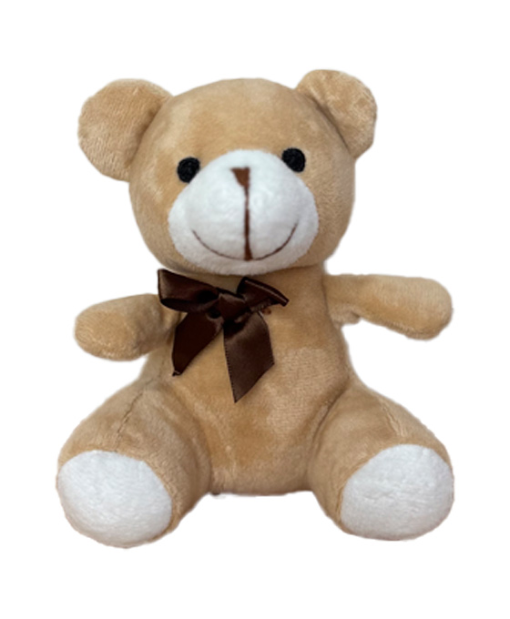 Oso de peluche de complemento