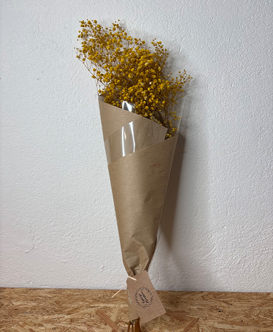 Cono Paniculata amarillo