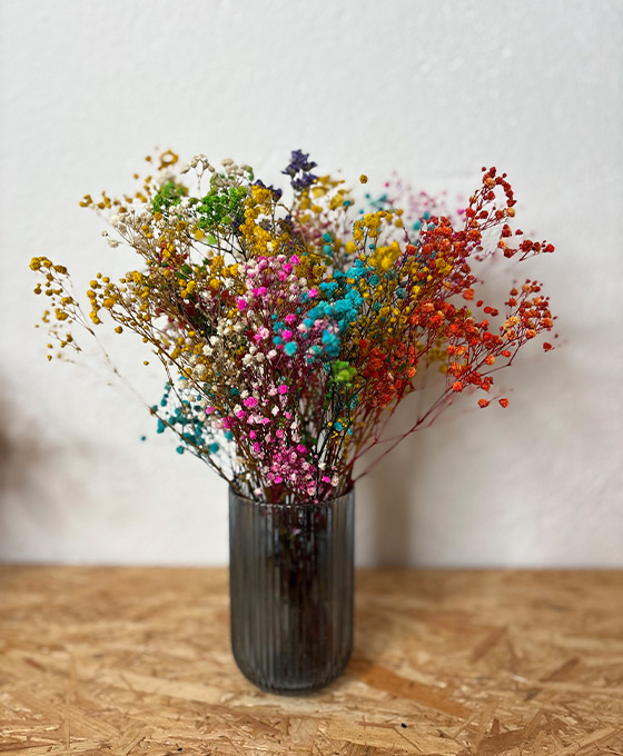 Jarrón Paniculata Arcoiris