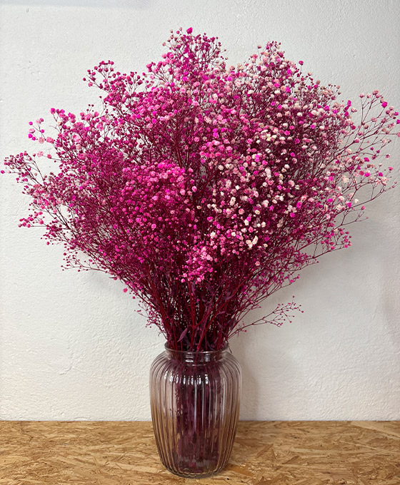 Jarrón de paniculata rosa