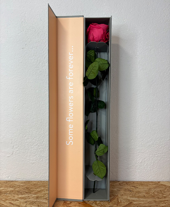 Rosa Roja Preservada