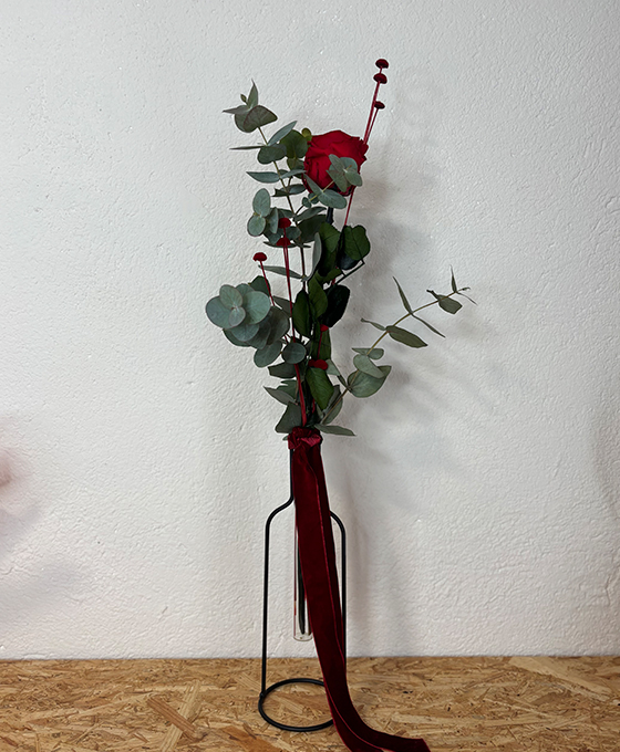 Rosa roja Preservada de san valentín